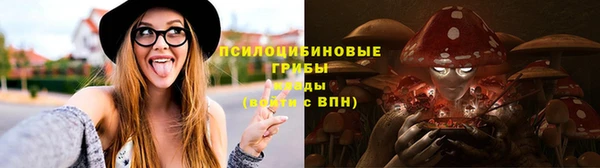 дурь Покачи